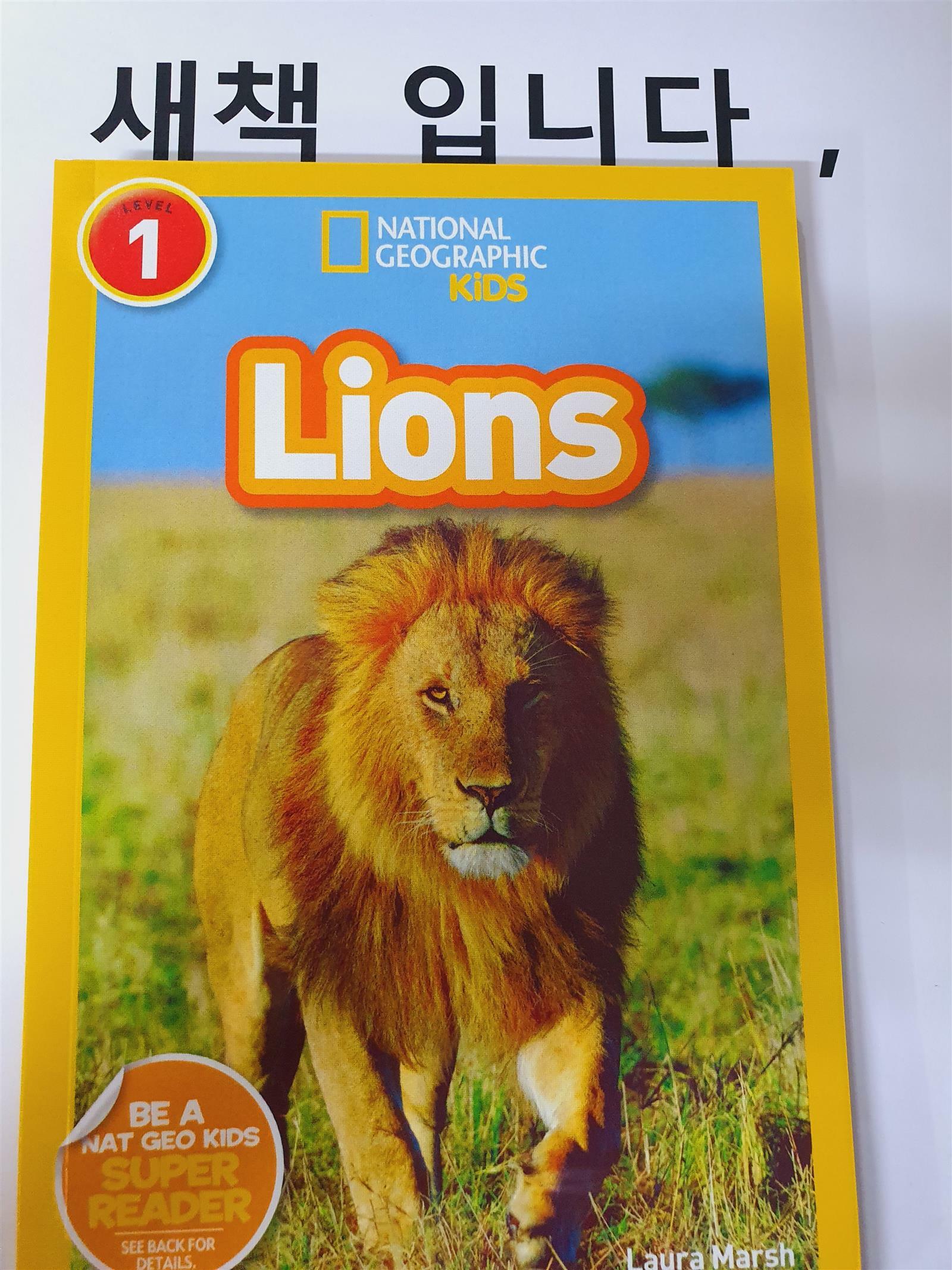 [중고] Lions (Paperback)
