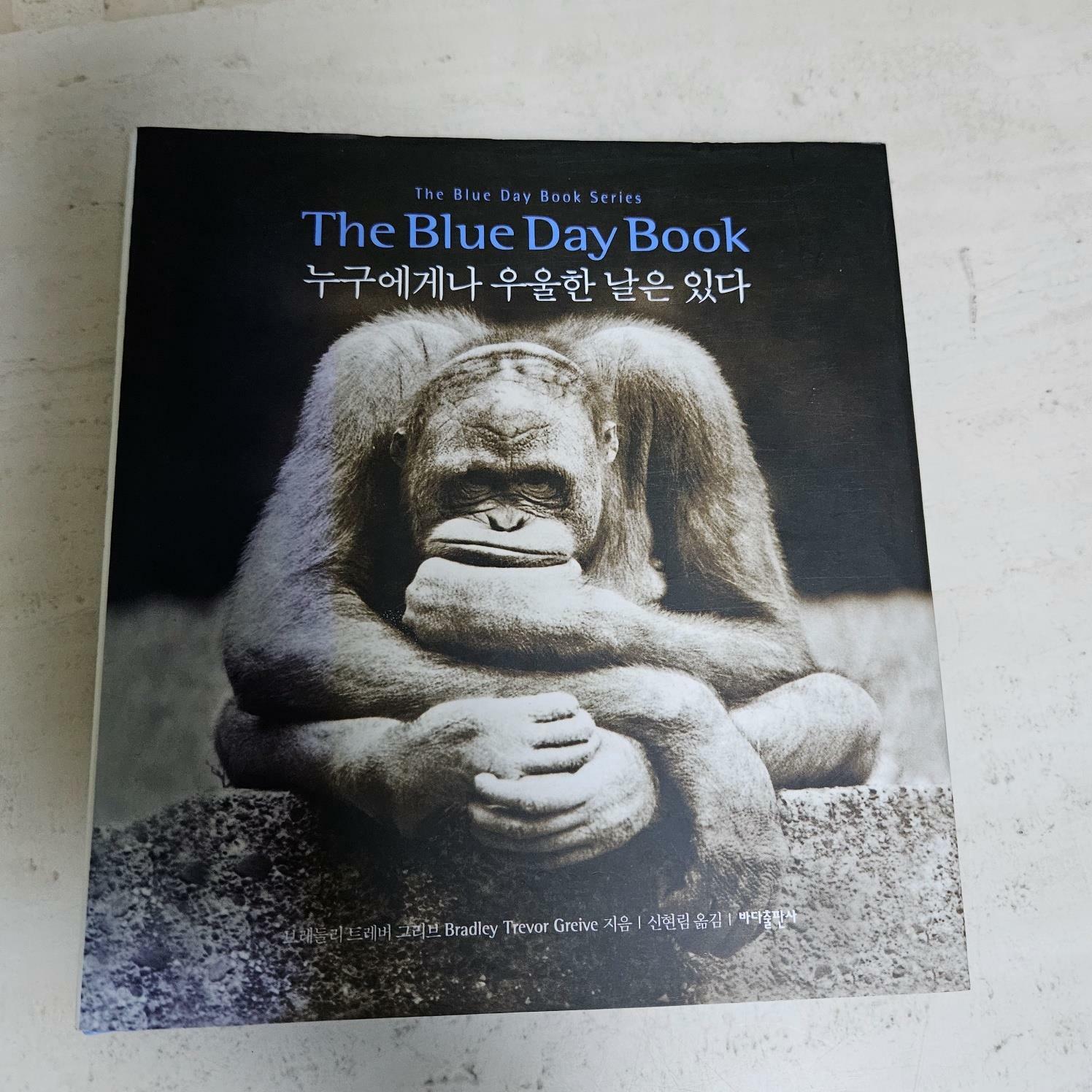 [중고] The Blue Day Book 누구에게나 우울한 날은 있다