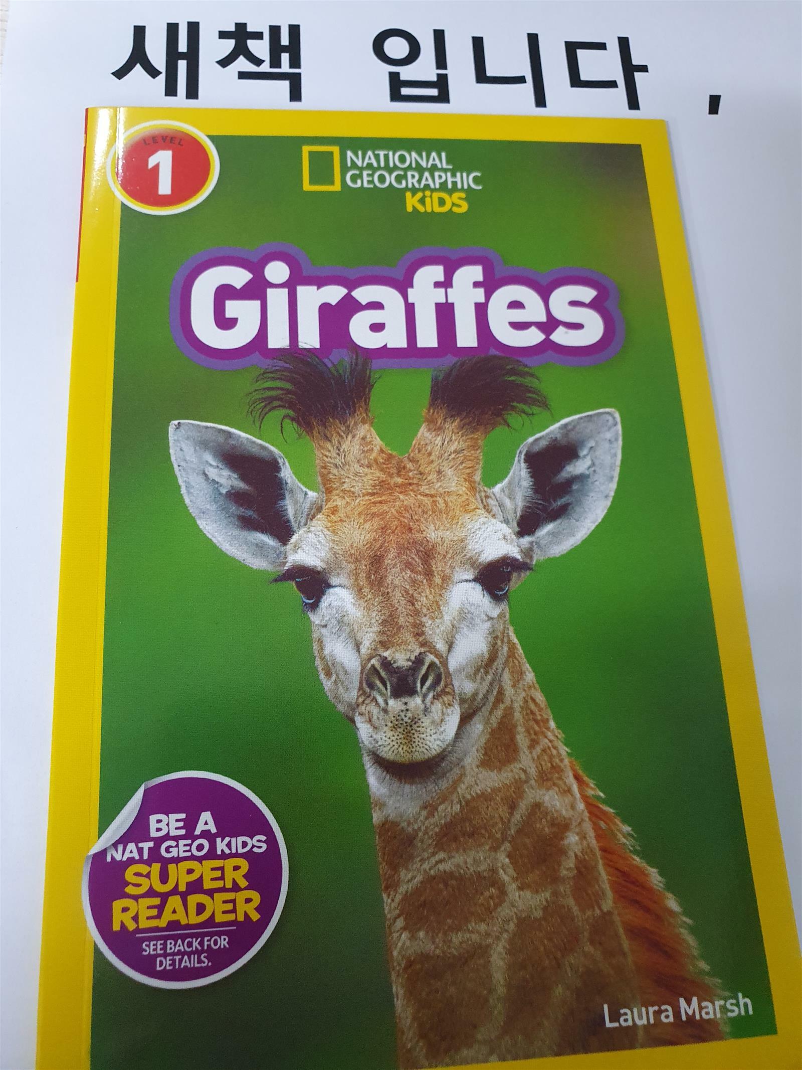 [중고] Giraffes (Paperback)