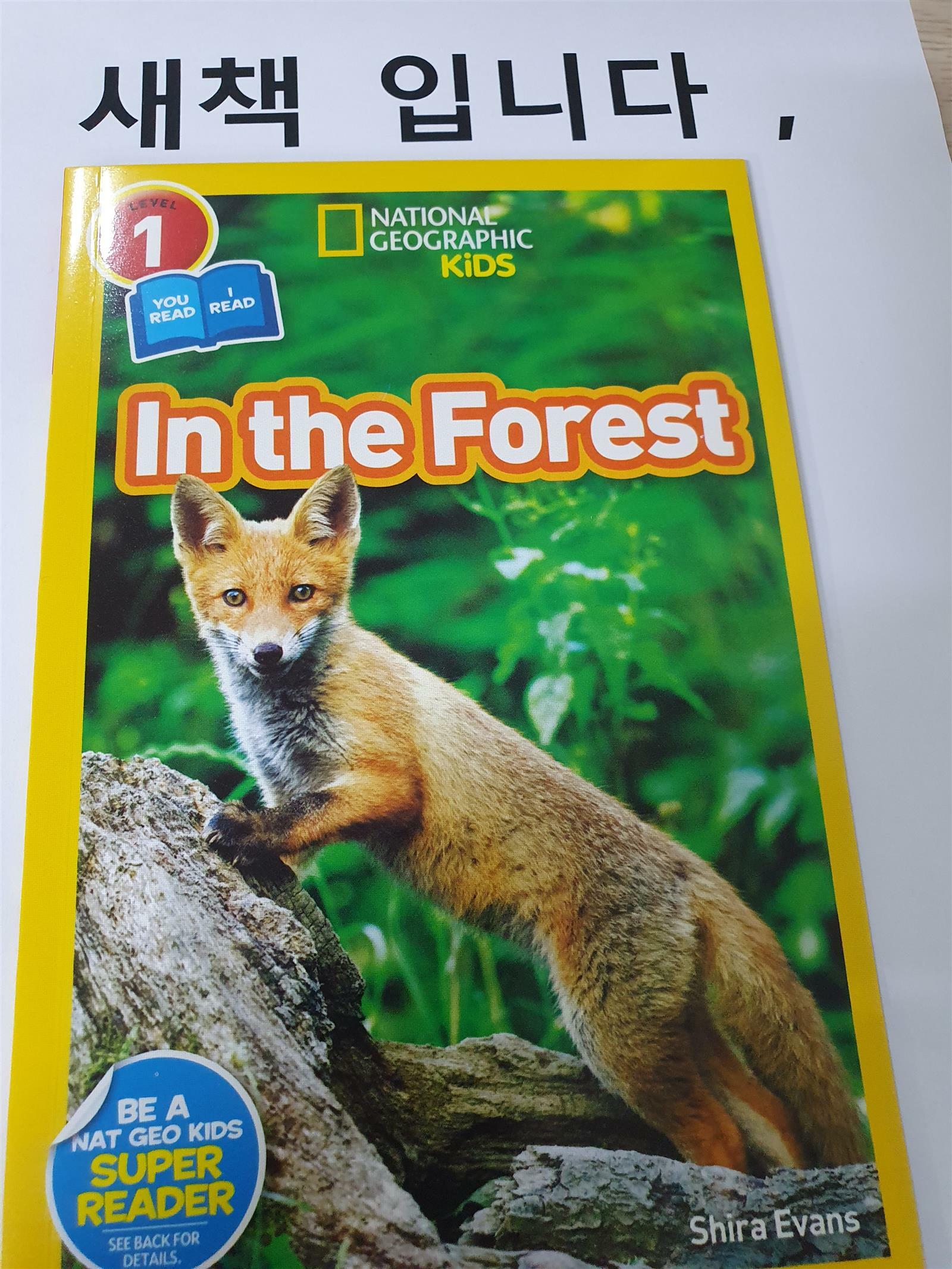 [중고] In the Forest (Paperback)