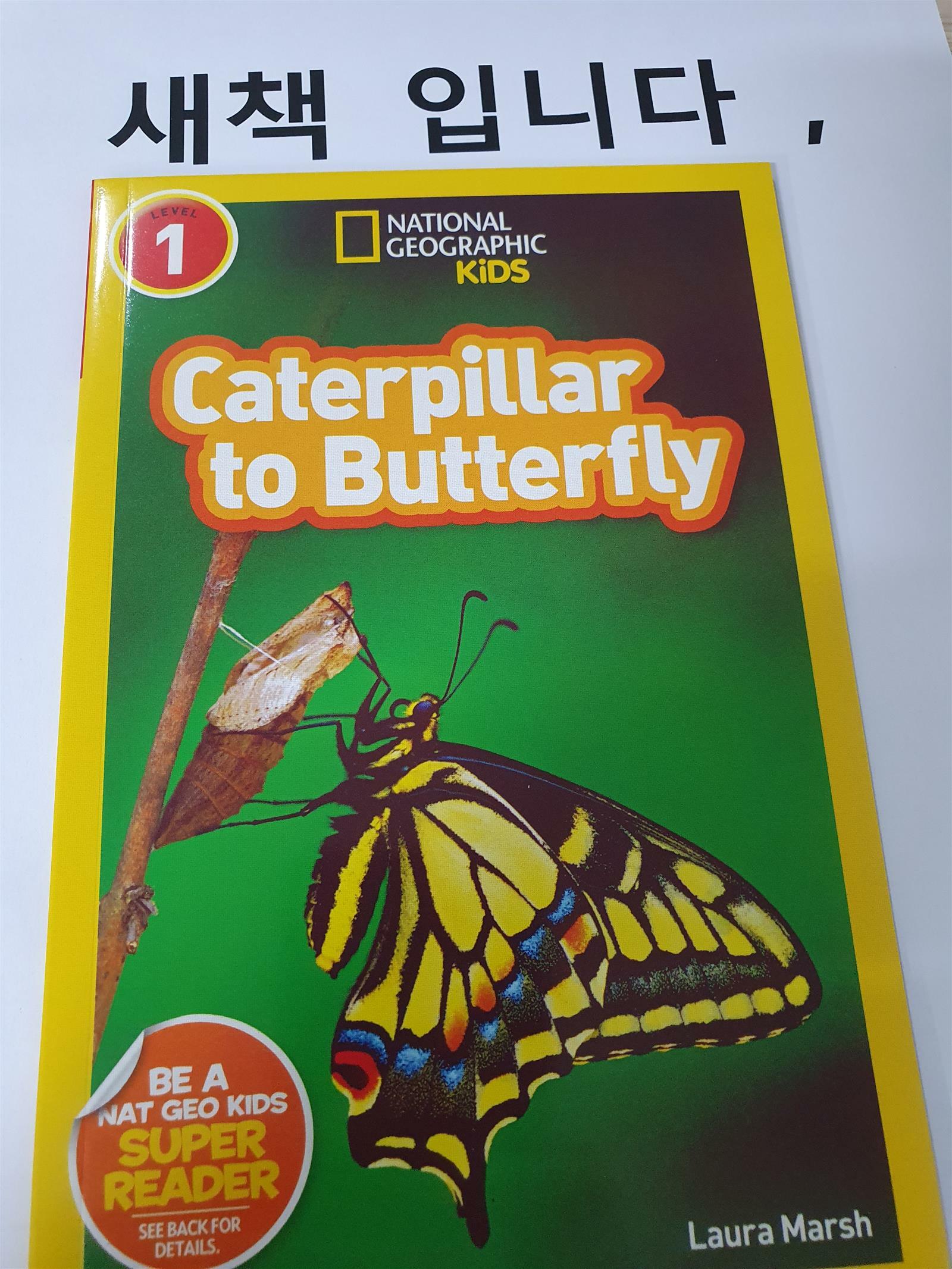 [중고] Caterpillar to Butterfly (Paperback)
