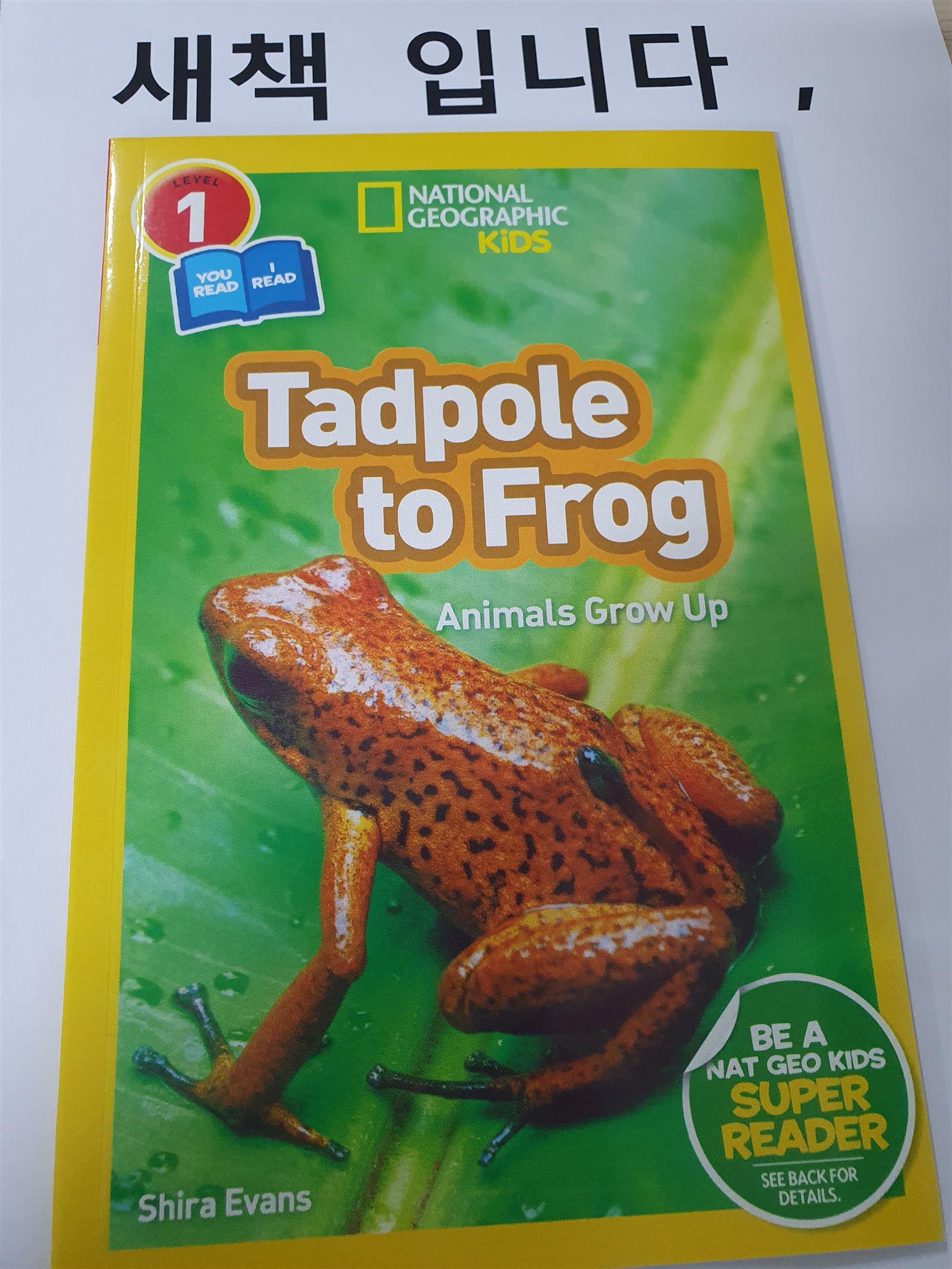 [중고] National Geographic Readers: Tadpole to Frog (L1/Coreader) (Paperback)