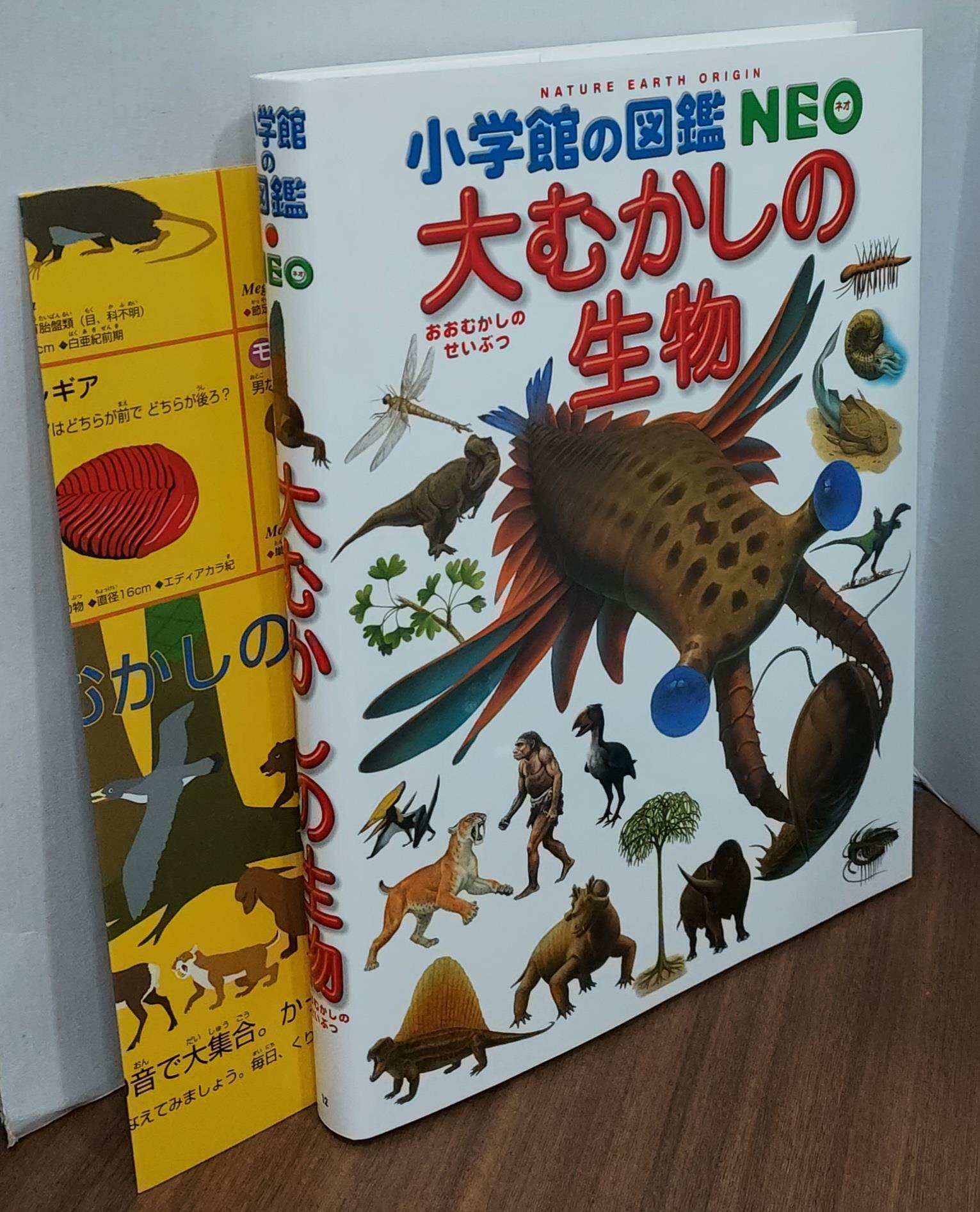 [중고] 大むかしの 生物 (小學館の圖鑑·NEO)(大型本)  (Hardcover)