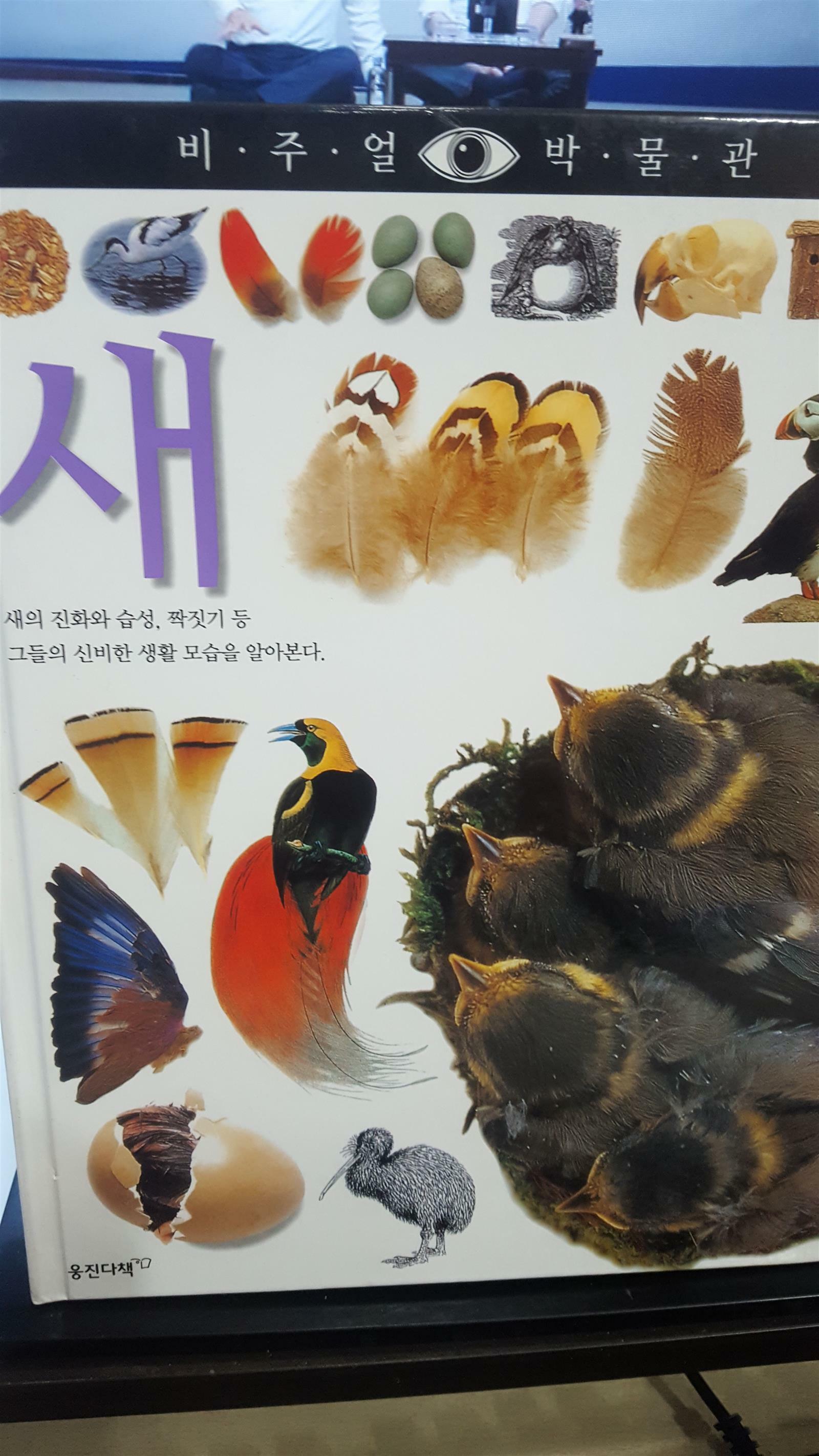 [중고] 새 / 비주얼박물관