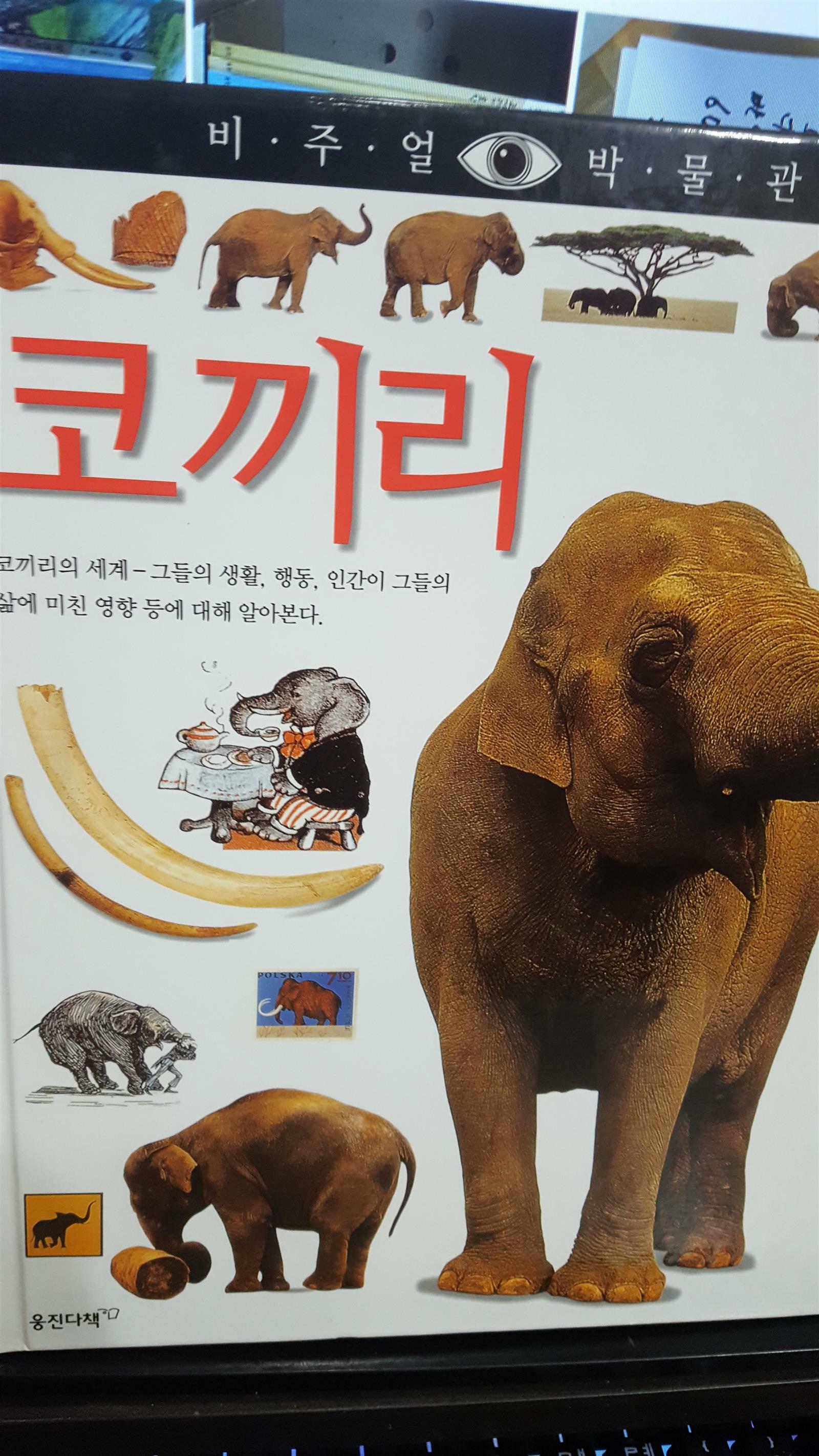 [중고] 코끼리/ 비주얼박물관
