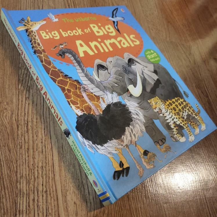[중고] The Usborne Big Book of Big Animals (Hardcover)