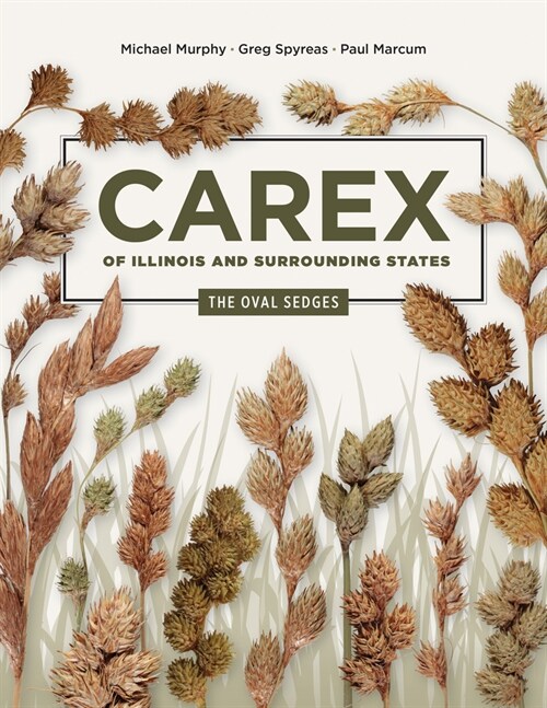 Carex of Illinois and Surrounding States: The Oval Sedges (Paperback)