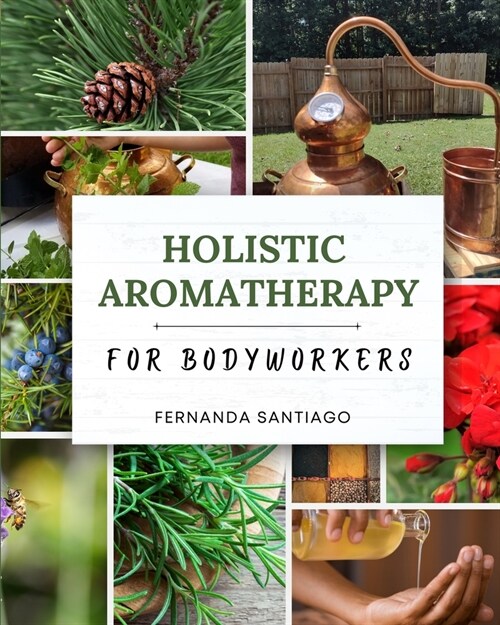 Holistic Aromatherapy for Bodyworkers (Paperback)