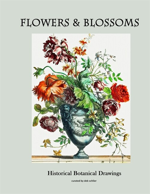 Flowers & Blossoms: Historical Botanical Drawings (Paperback)