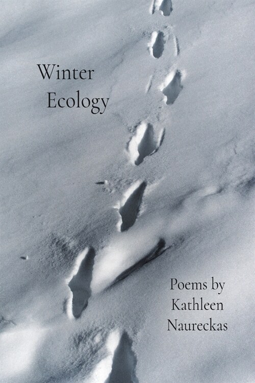 Winter Ecology (Paperback)
