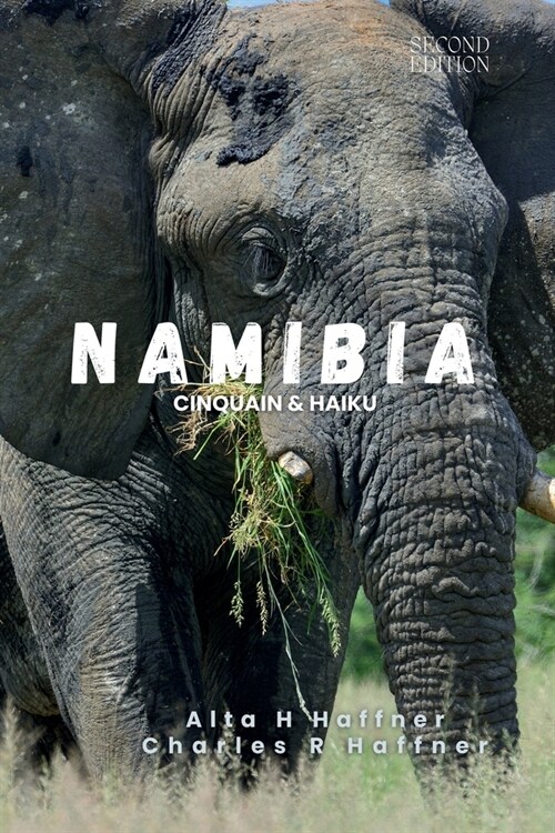 Namibia: Second Edition (Paperback)