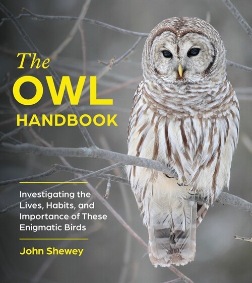 The Owl Handbook: Investigating the Lives, Habits, and Importance of These Enigmatic Birds (Paperback)