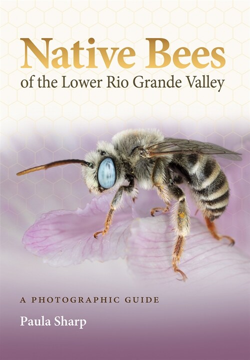 Native Bees of the Lower Rio Grande Valley: A Photographic Guide (Paperback)