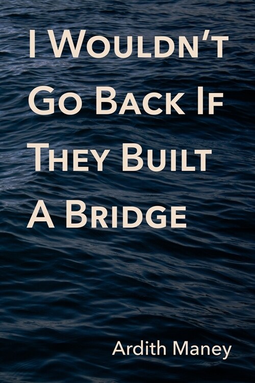 I Wouldnt Go Back If They Built A Bridge (Paperback)
