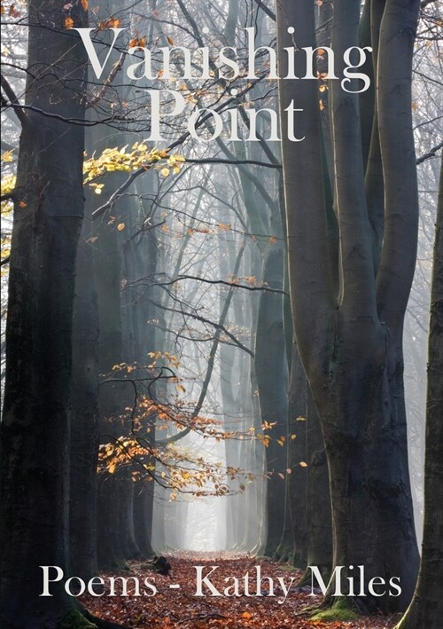 Vanishing Point (Paperback)