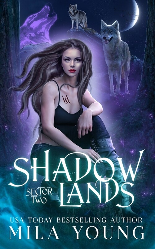 Shadowlands Sector Two (Paperback)