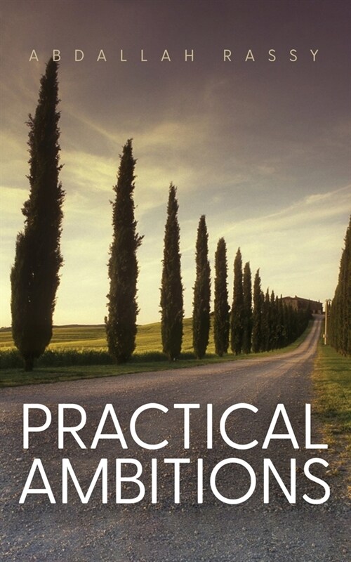 Practical Ambitions (Paperback)