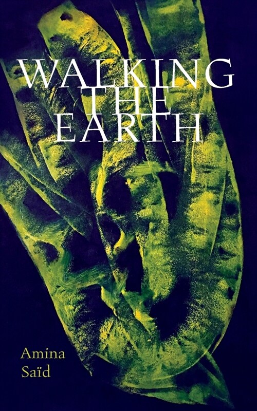 Walking the Earth (Paperback)