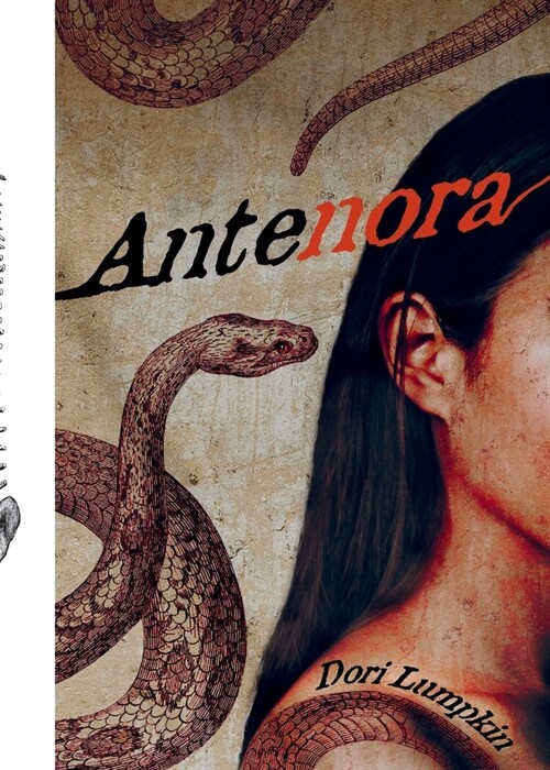 Antenora (Paperback)