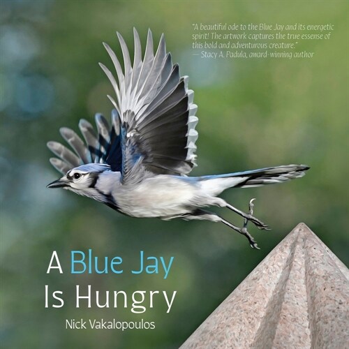 A Blue Jay is Hungry (Paperback)