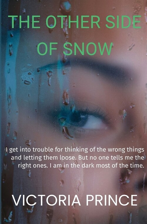 The Other Side Of Snow (Paperback)