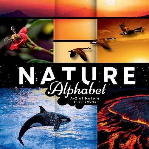 Nature Alphabet: A - Z Of Nature & How It Works (Paperback)