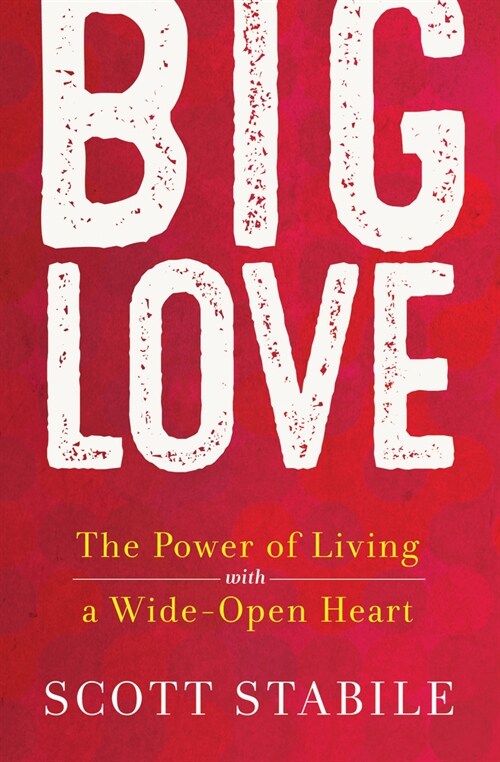 Big Love: The Undeniable Joy of Following Your Heart (Paperback)