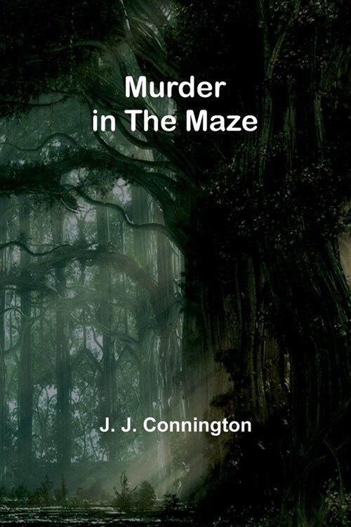 Murder in the maze (Paperback)