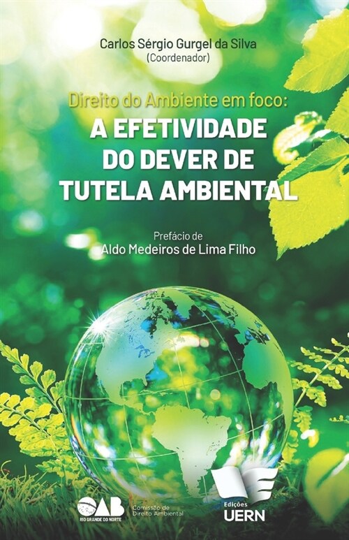 Direito Ambiental em foco: a efetividade do dever de tutela ambiental (Paperback)