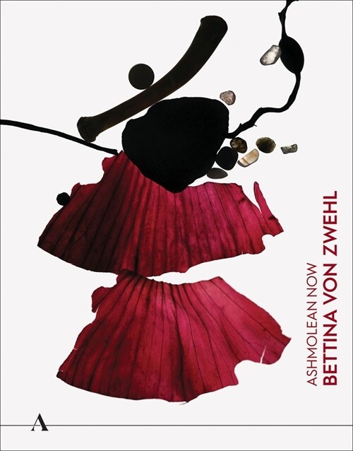 Ashmolean NOW: Bettina von Zwehl (Paperback)