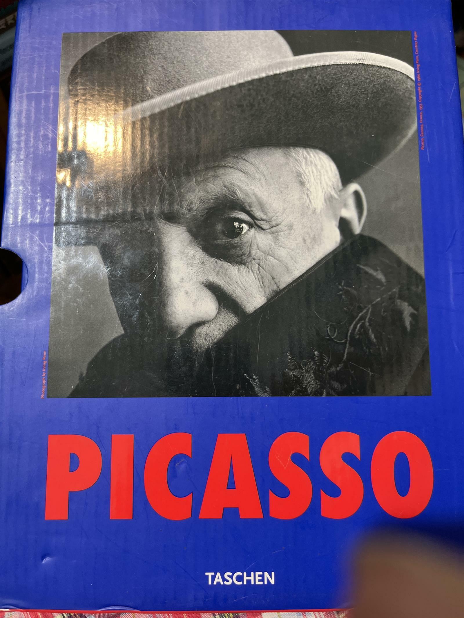 [중고] Picasso (Paperback)