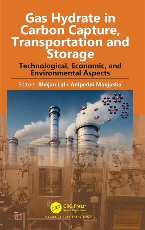 Gas Hydrate in Carbon Capture, Transportation and Storage : Technological, Economic, and Environmental Aspects (Hardcover)