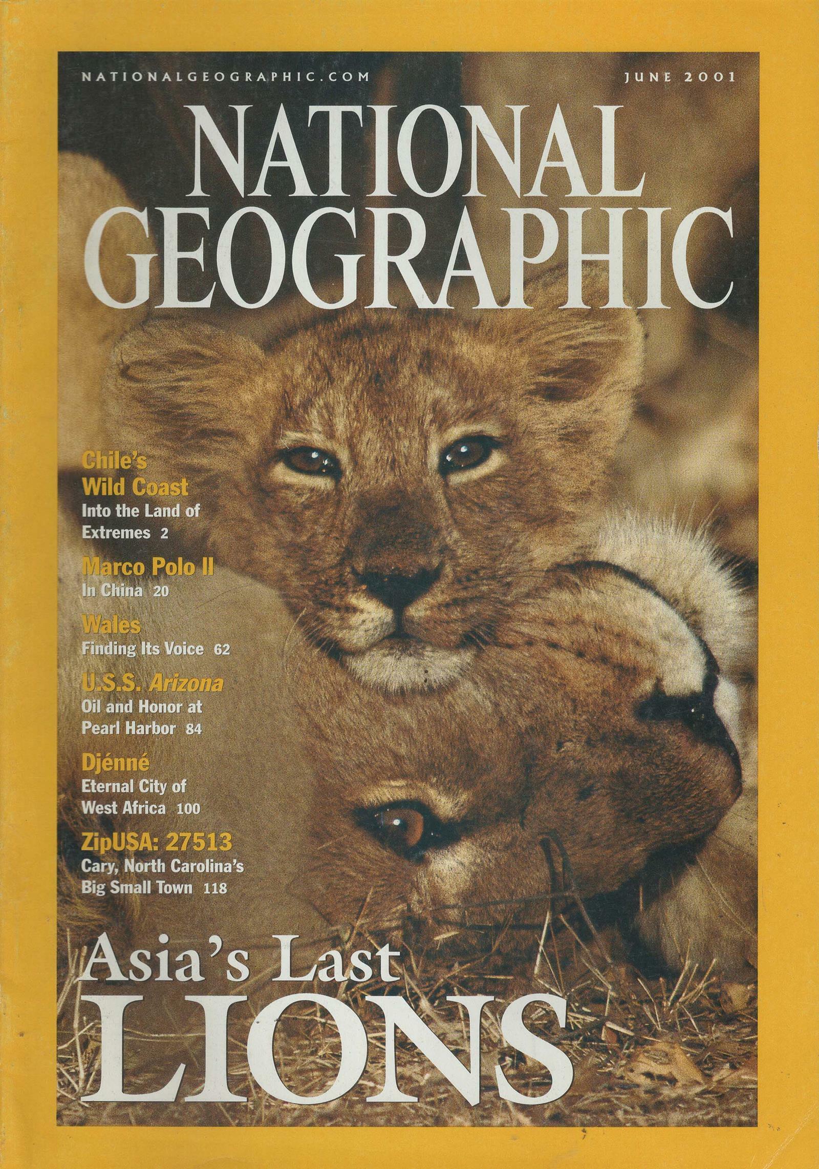 [중고] National Geographic (월간 미국판): 2001년 06월호