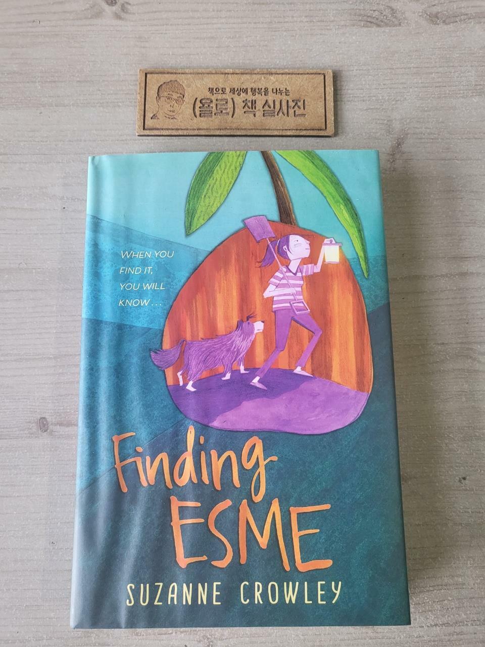[중고] Finding Esme (Hardcover)