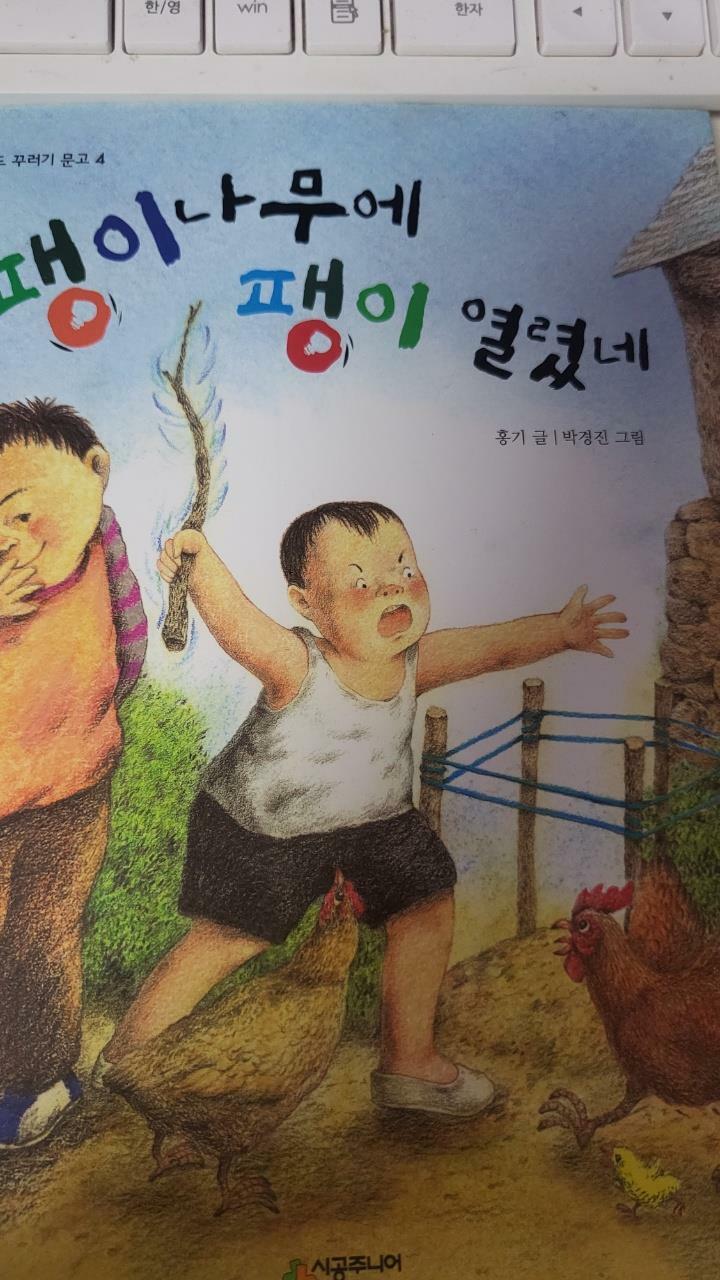 [중고] 팽이나무에 팽이 열렸네