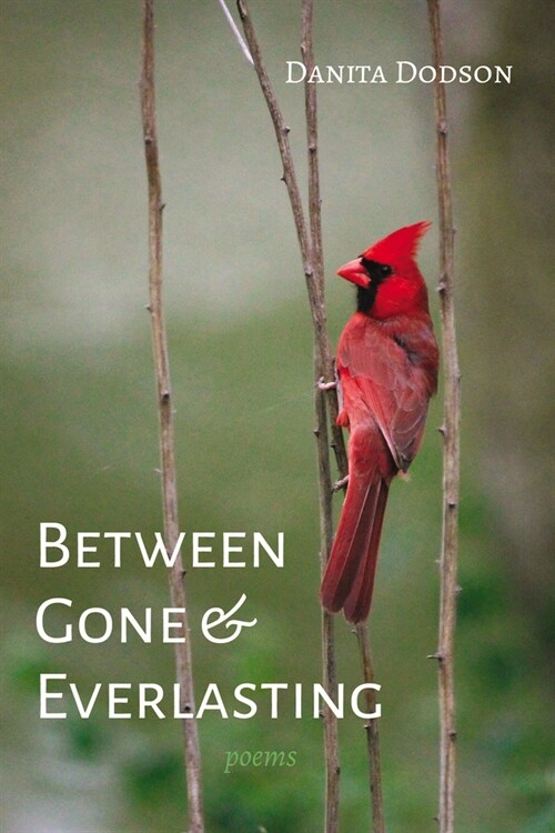 Between Gone and Everlasting: Poems (Paperback)