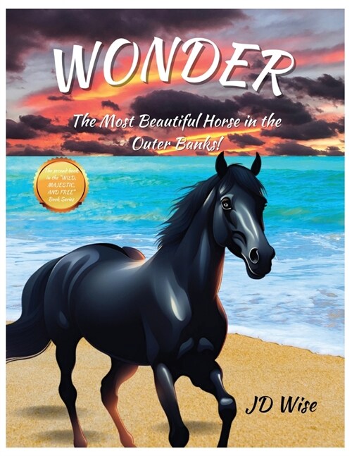 Wonder (Paperback)