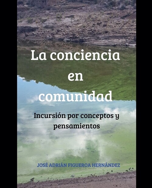 La conciencia en comunidad: Incursi? por conceptos y pensamientos (Paperback)