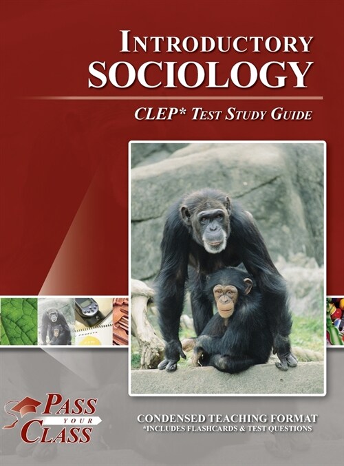 Introduction to Sociology CLEP Test Study Guide (Hardcover)