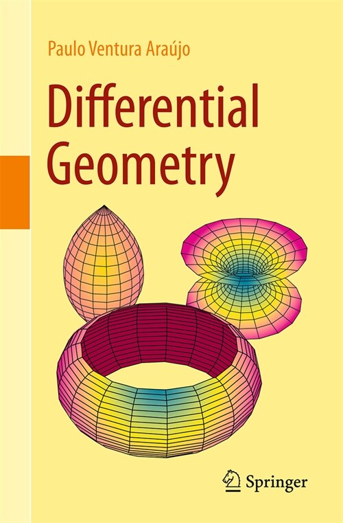Differential Geometry (Paperback, 2024)