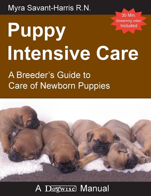 Puppy Intensive Care (Paperback)