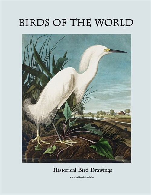 Birds of the World: Historical Bird Drawings (Paperback)