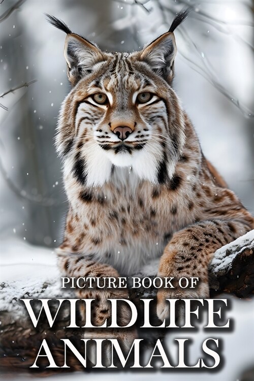 Wildlife Animals: Picture Books For Adults With Dementia And Alzheimers Patients - Beautiful Photos Of Wild Scenes with Animals (Paperback)