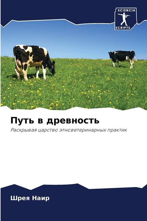 Путь в древность (Paperback)