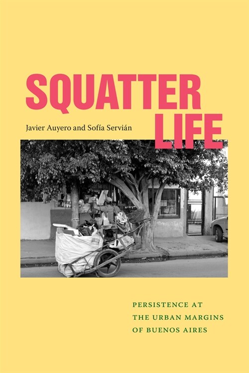 Squatter Life: Persistence at the Urban Margins of Buenos Aires (Paperback)