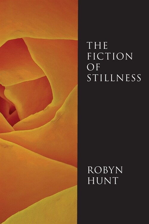 The Fiction of Stillness (Paperback)