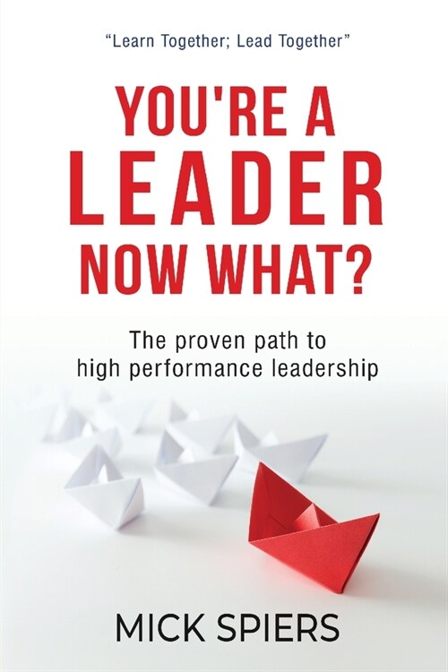 Youre a leader, now what? (Paperback)