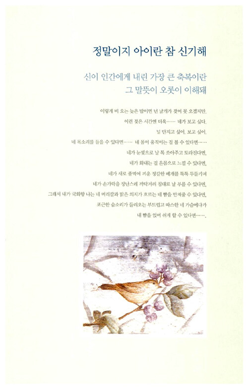 국화꽃 향기 그 두번째 이야기 : 김하인 장편소설