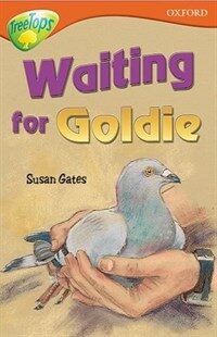 Oxford Reading Tree: Level 13: Treetops Stories: Waiting for Goldie (Paperback)