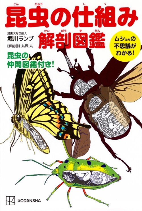 昆蟲の仕組み解剖圖鑑 ムシたちの不思議がわかる!